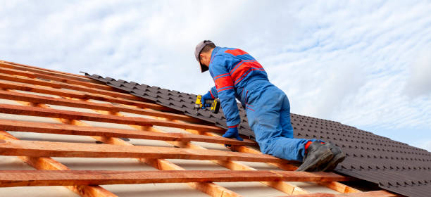 Best Sheet Metal Roofing  in Euless, TX